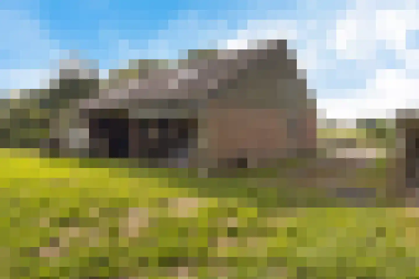 Leidyk 1 Ureterp thumbnail 42