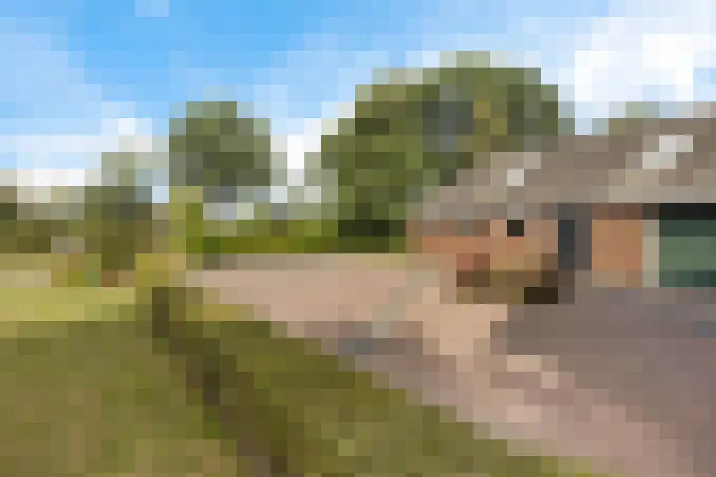 Leidyk 1 Ureterp thumbnail 44