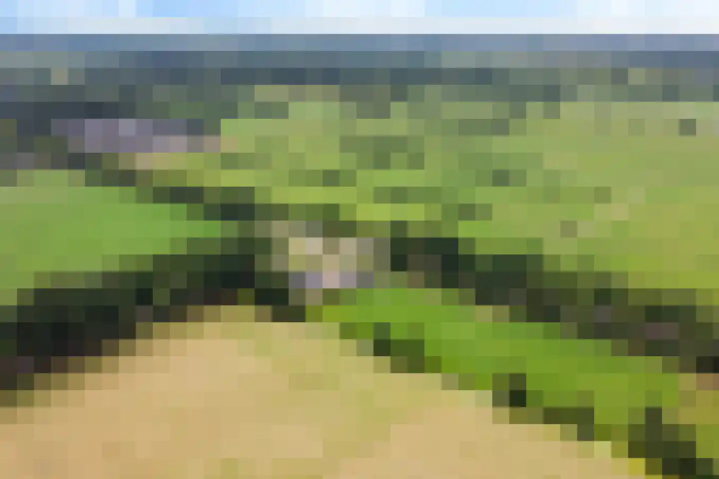 Leidyk 1 Ureterp thumbnail 47