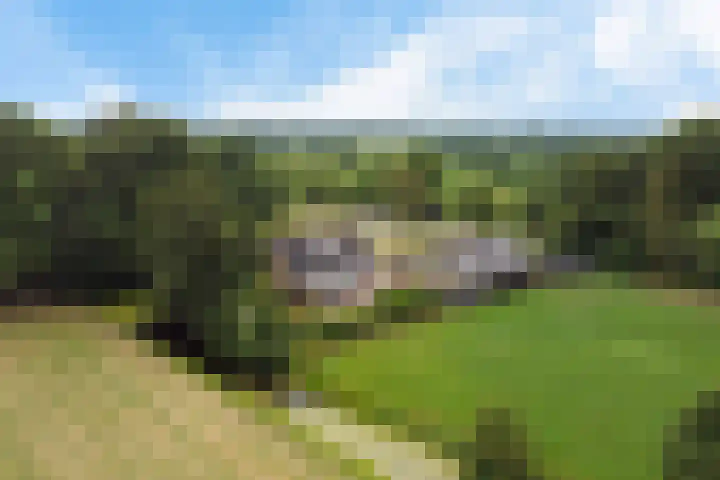 Leidyk 1 Ureterp thumbnail 48