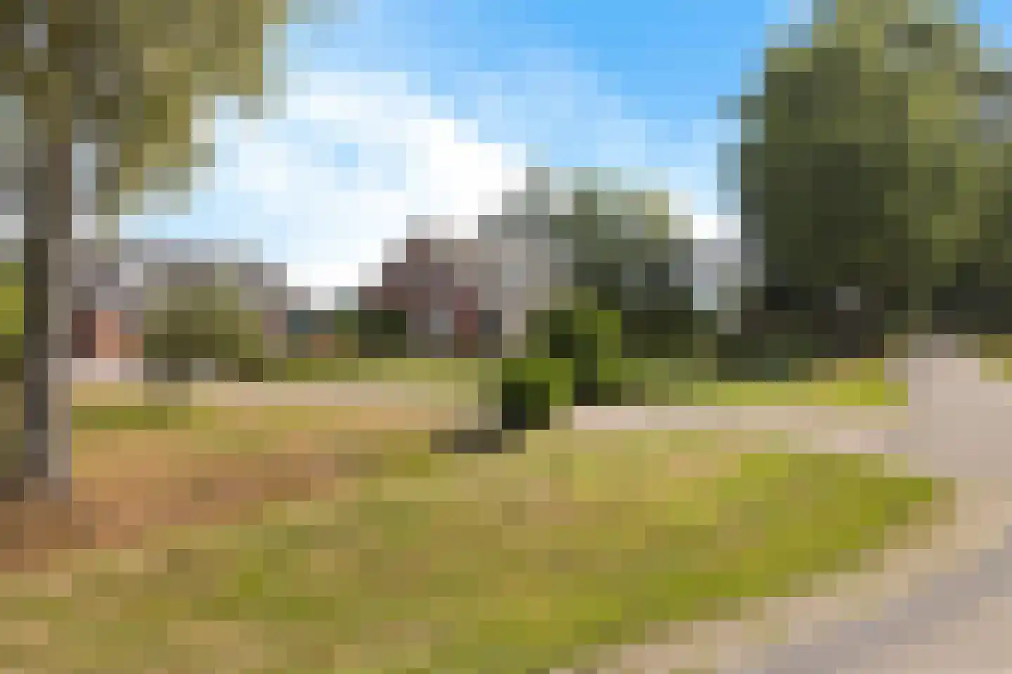 Leidyk 1 Ureterp thumbnail 6