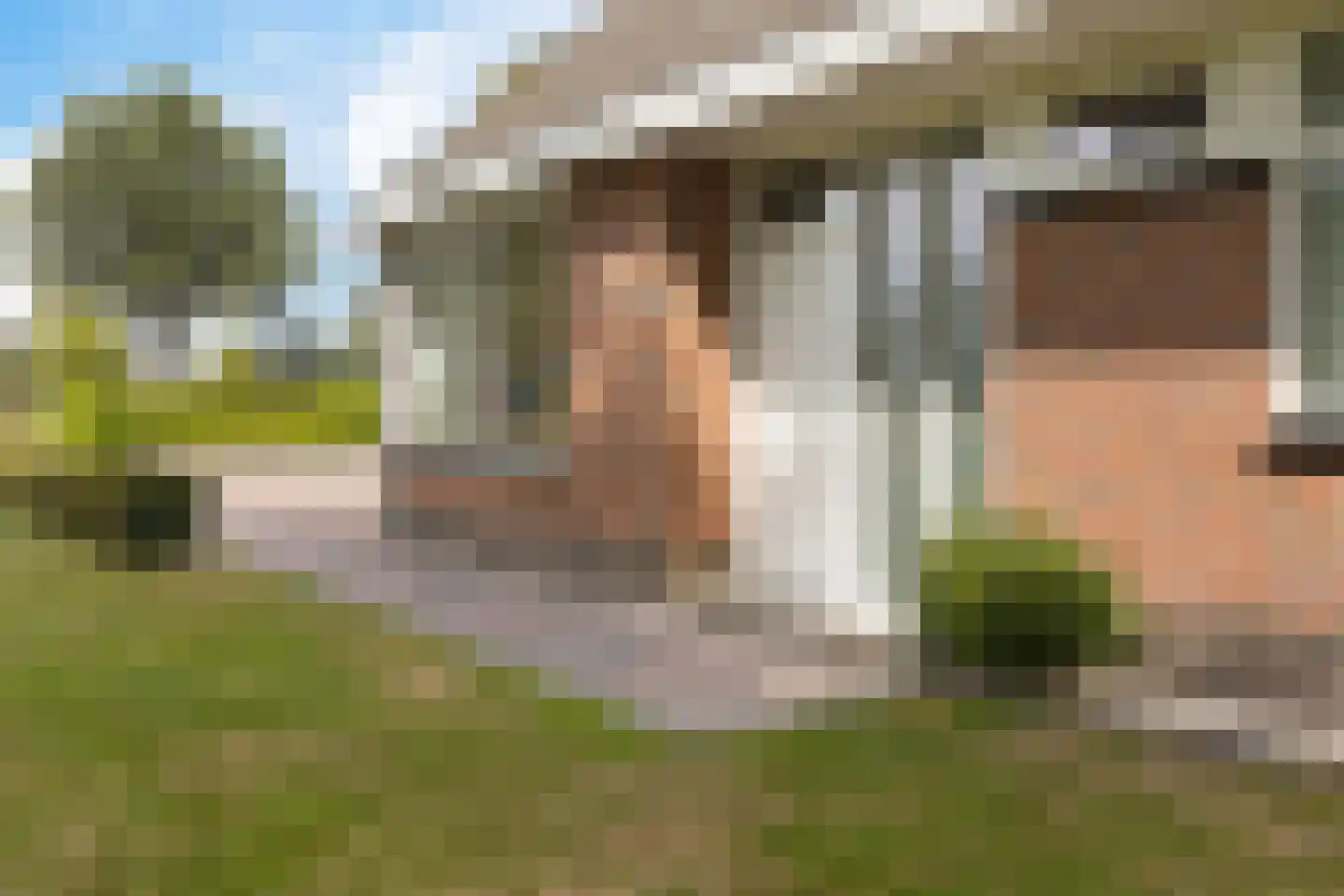 Leidyk 1 Ureterp thumbnail 7