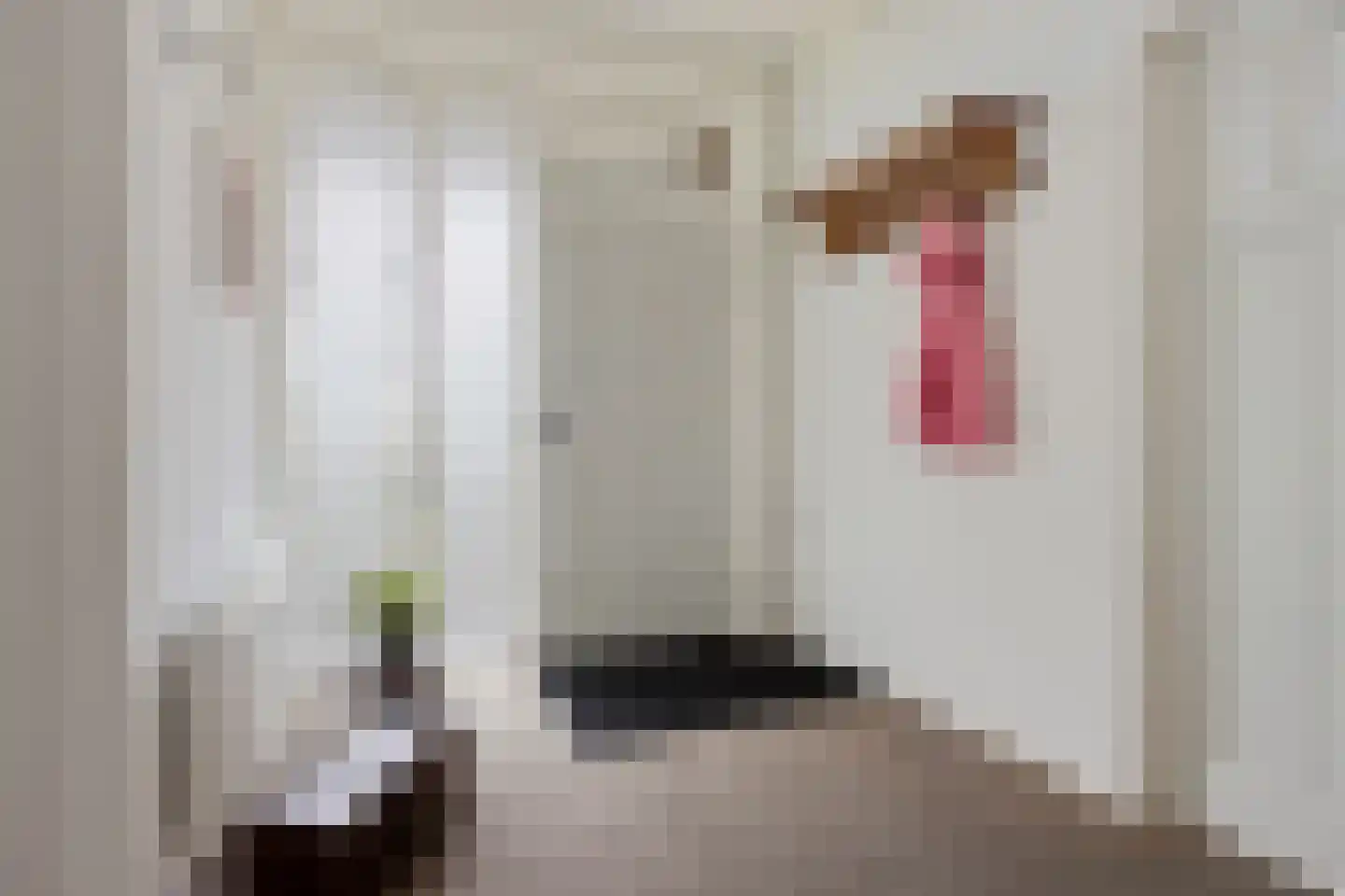 Leidyk 1 Ureterp thumbnail 8