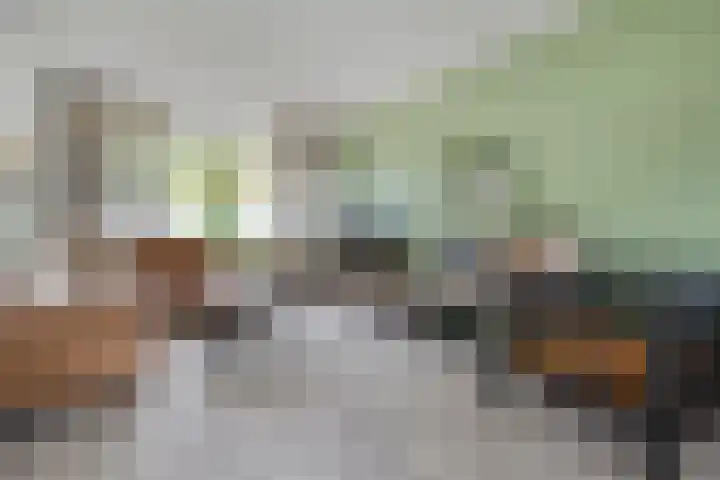 Leie 19 Zwolle thumbnail 11
