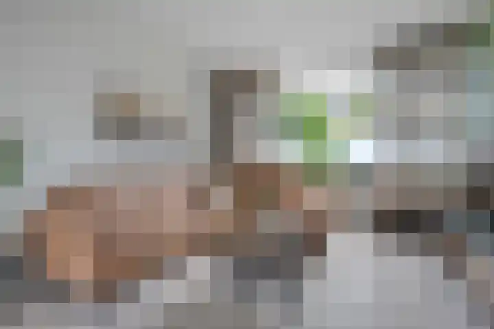 Leie 19 Zwolle thumbnail 12