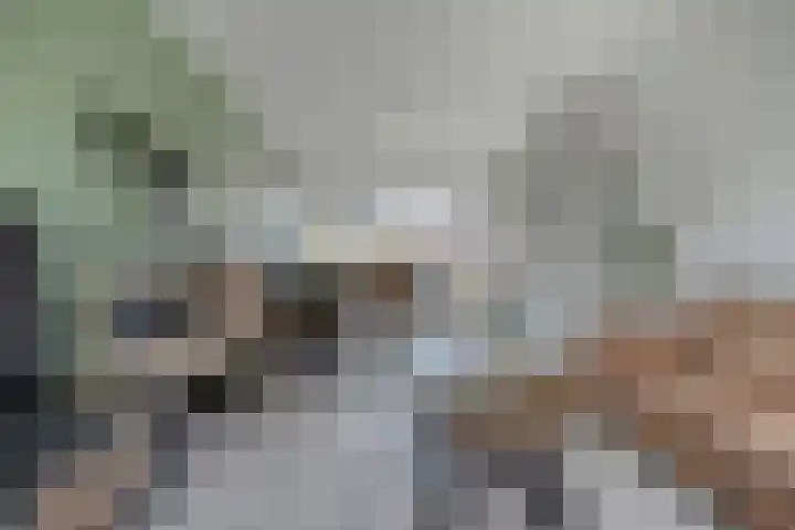 Leie 19 Zwolle thumbnail 13