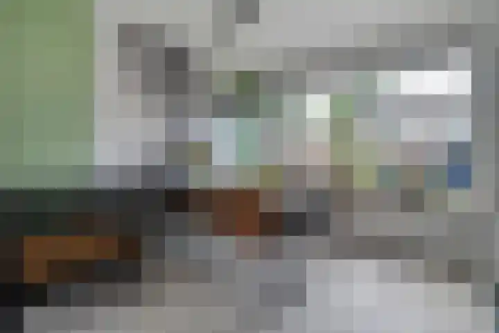 Leie 19 Zwolle thumbnail 14