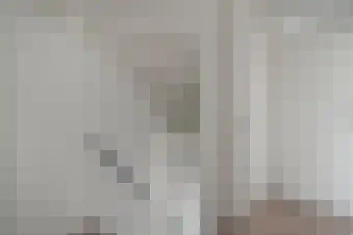 Leie 19 Zwolle thumbnail 18