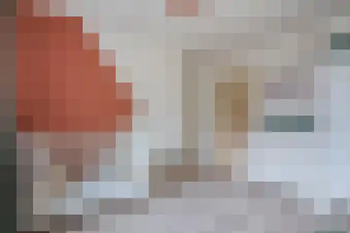 Leie 19 Zwolle thumbnail 25