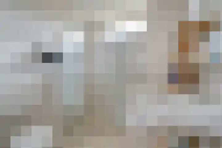 Leie 19 Zwolle thumbnail 26