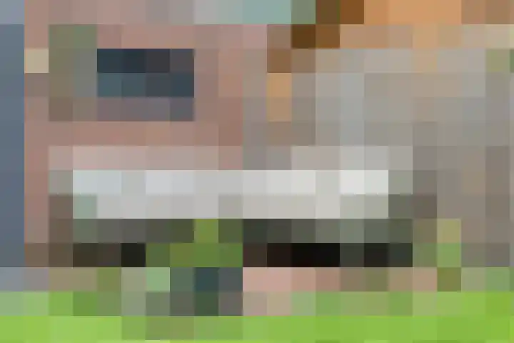 Leie 19 Zwolle thumbnail 34
