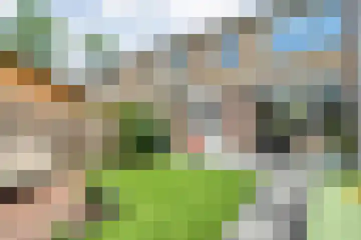 Leie 19 Zwolle thumbnail 35