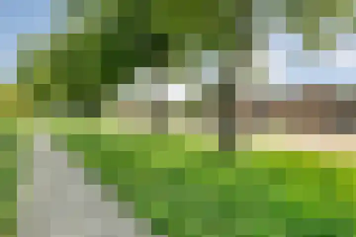 Leie 19 Zwolle thumbnail 39