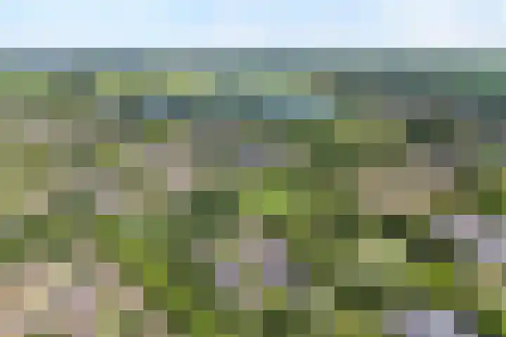 Leie 19 Zwolle thumbnail 4