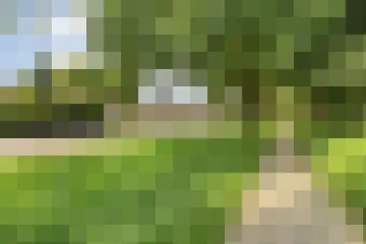 Leie 19 Zwolle thumbnail 40