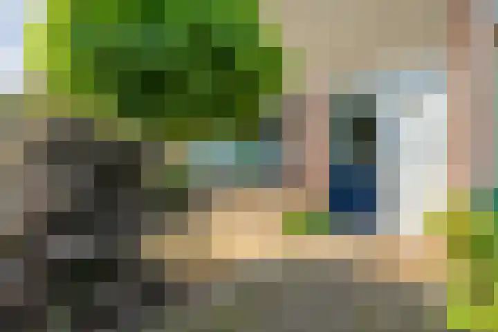 Leie 19 Zwolle thumbnail 45