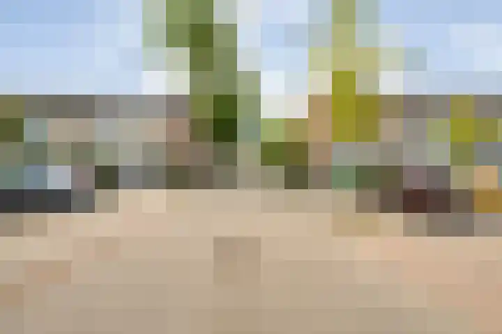 Leie 19 Zwolle thumbnail 5