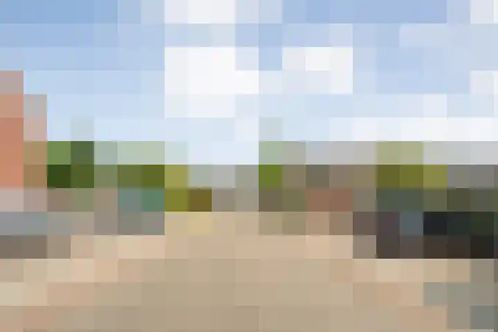 Leie 19 Zwolle thumbnail 6