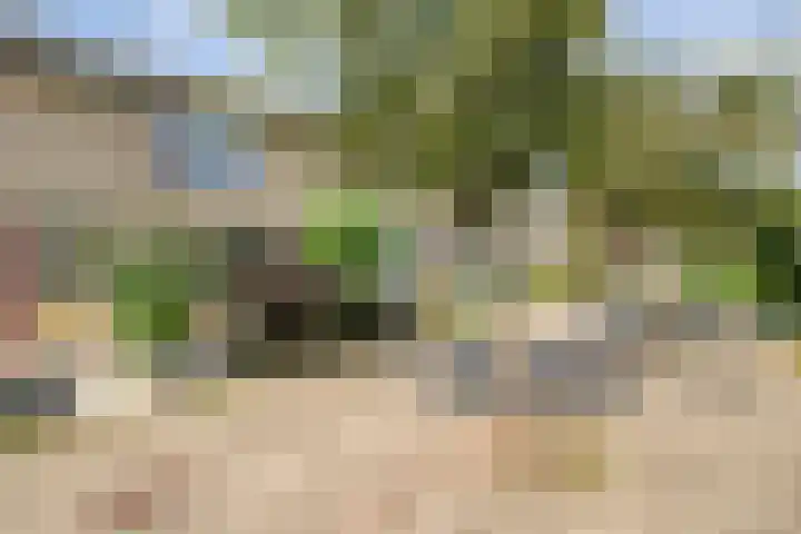 Leie 19 Zwolle thumbnail 7