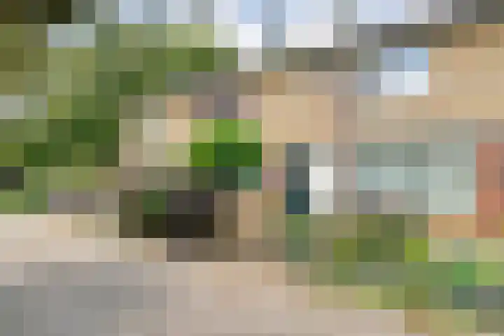 Leie 19 Zwolle thumbnail 8