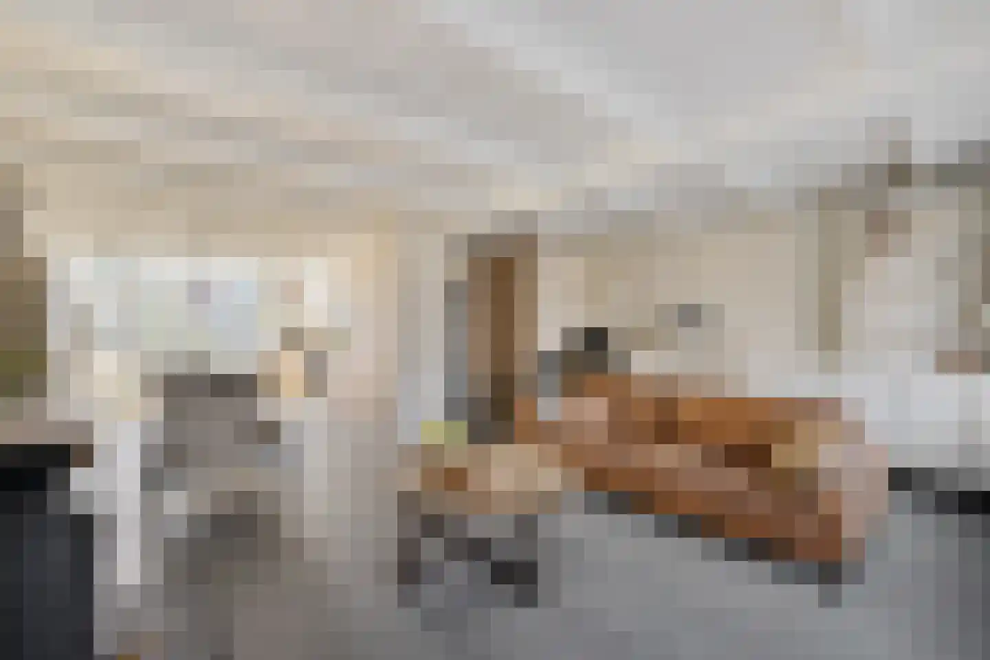 Leie 8 Assen thumbnail 10
