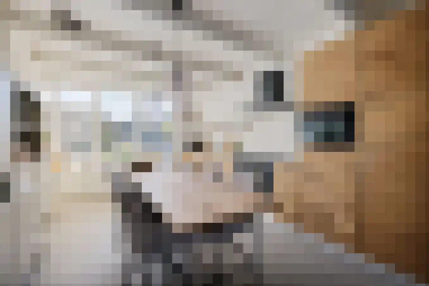 Leie 8 Assen thumbnail 12
