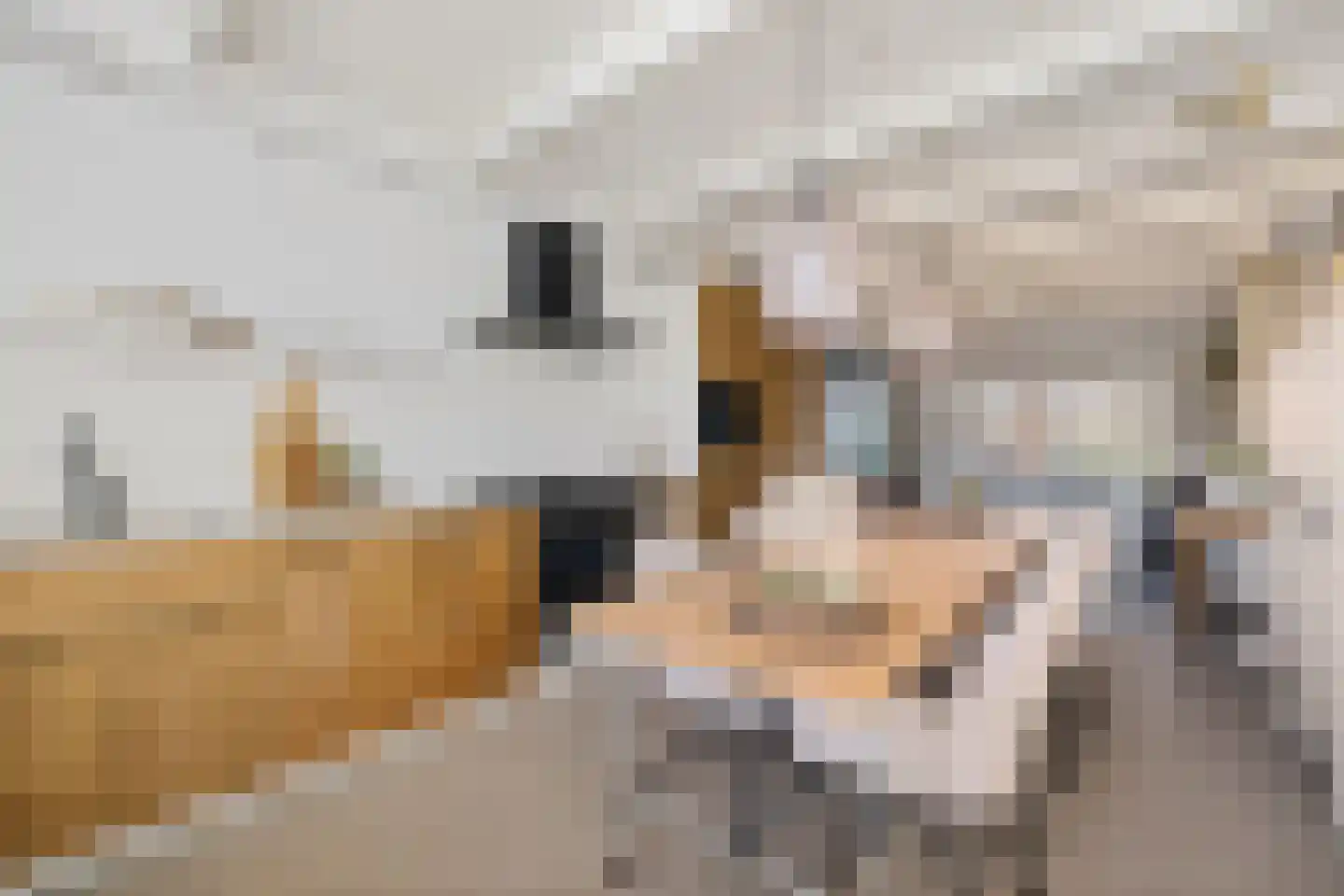 Leie 8 Assen thumbnail 13