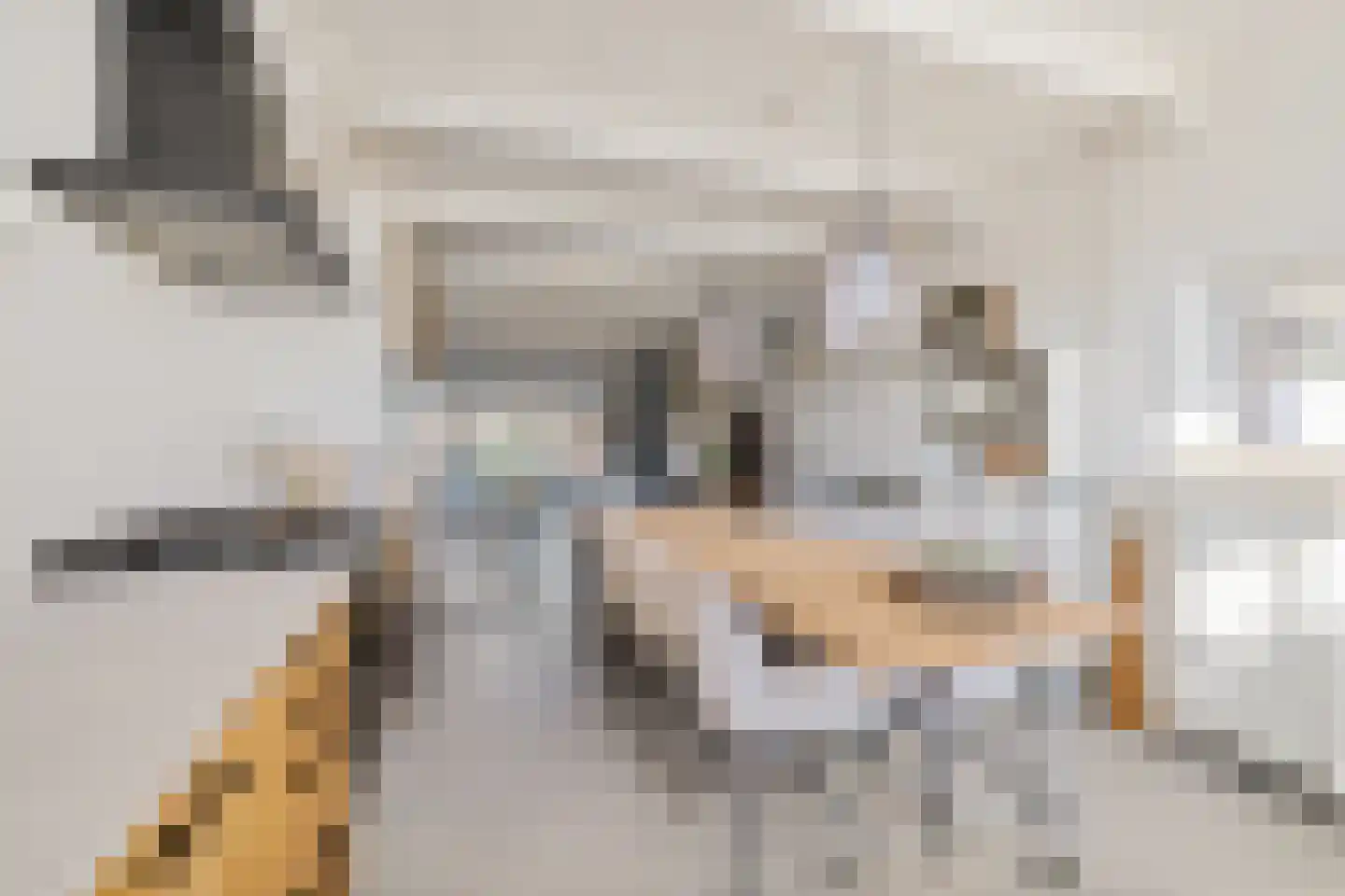 Leie 8 Assen thumbnail 14