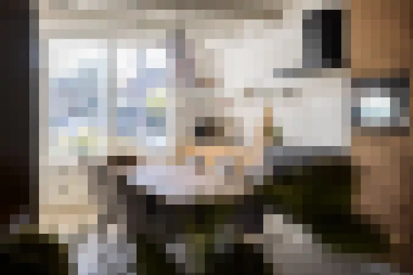 Leie 8 Assen thumbnail 17