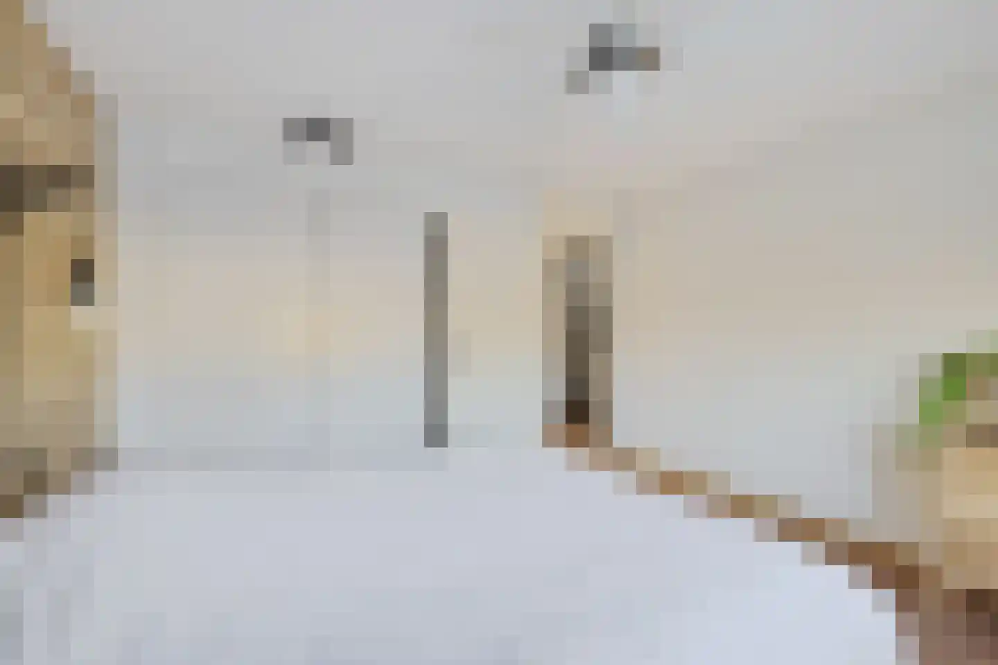 Leie 8 Assen thumbnail 21