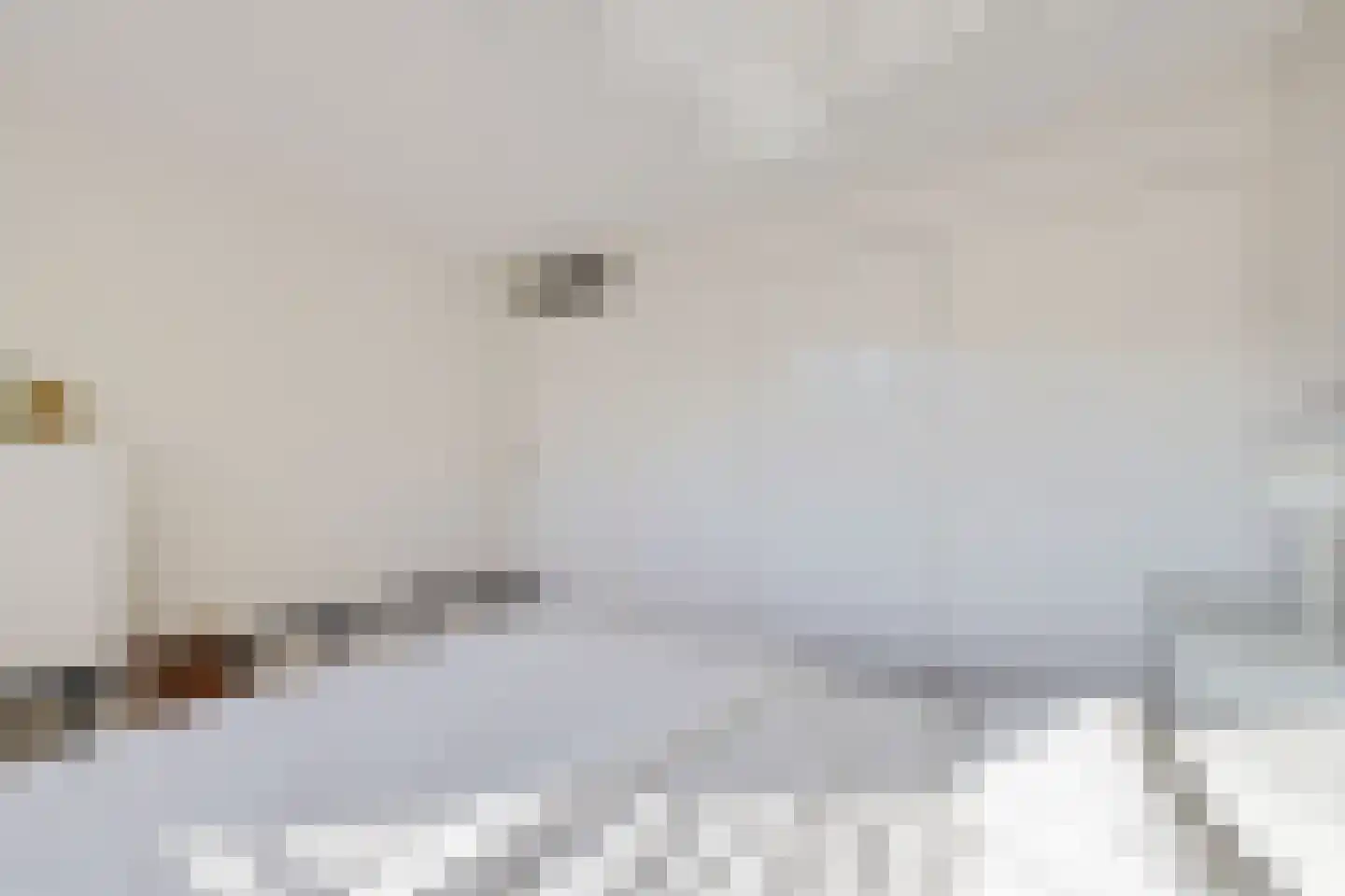 Leie 8 Assen thumbnail 23