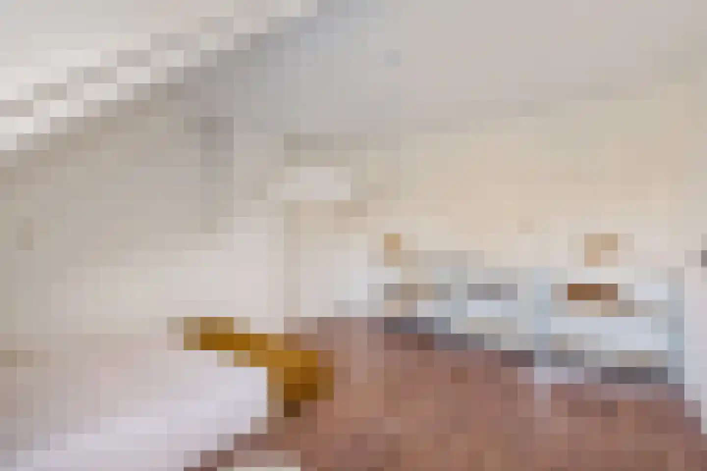 Leie 8 Assen thumbnail 32