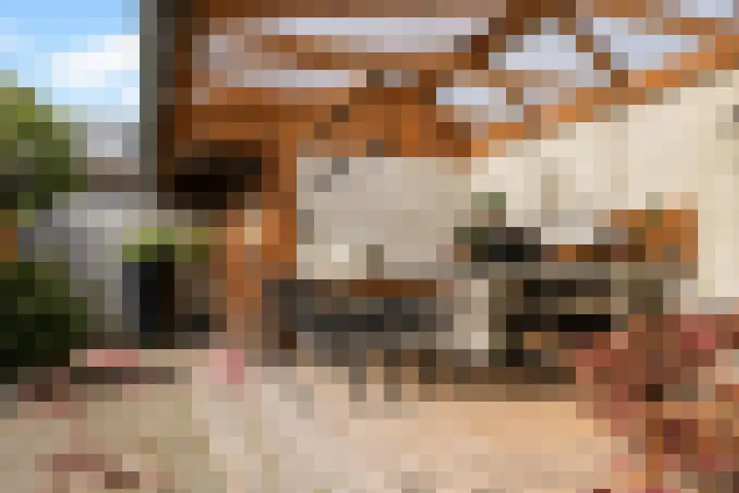 Leie 8 Assen thumbnail 40
