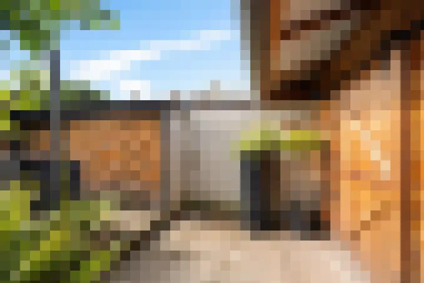 Leie 8 Assen thumbnail 41