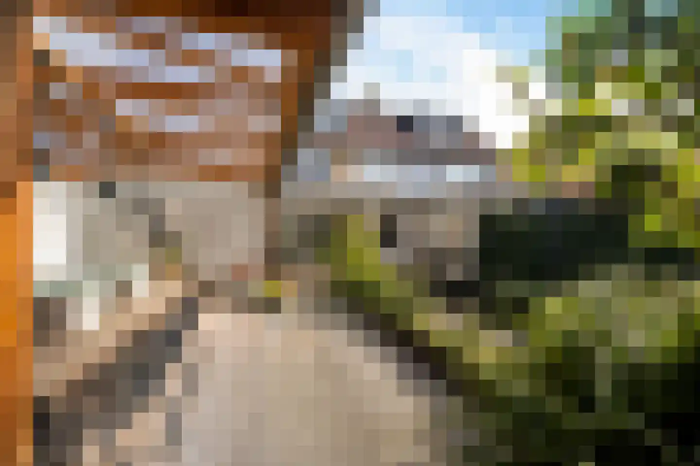 Leie 8 Assen thumbnail 42
