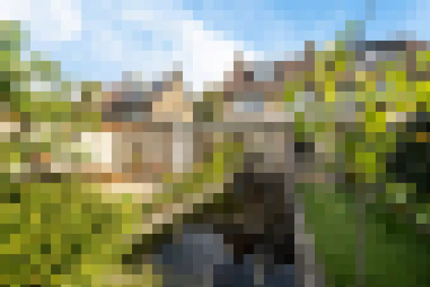 Leie 8 Assen thumbnail 44
