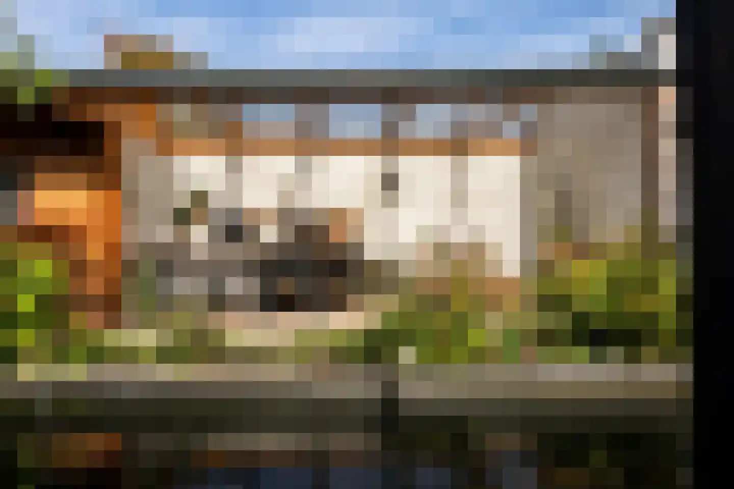 Leie 8 Assen thumbnail 45