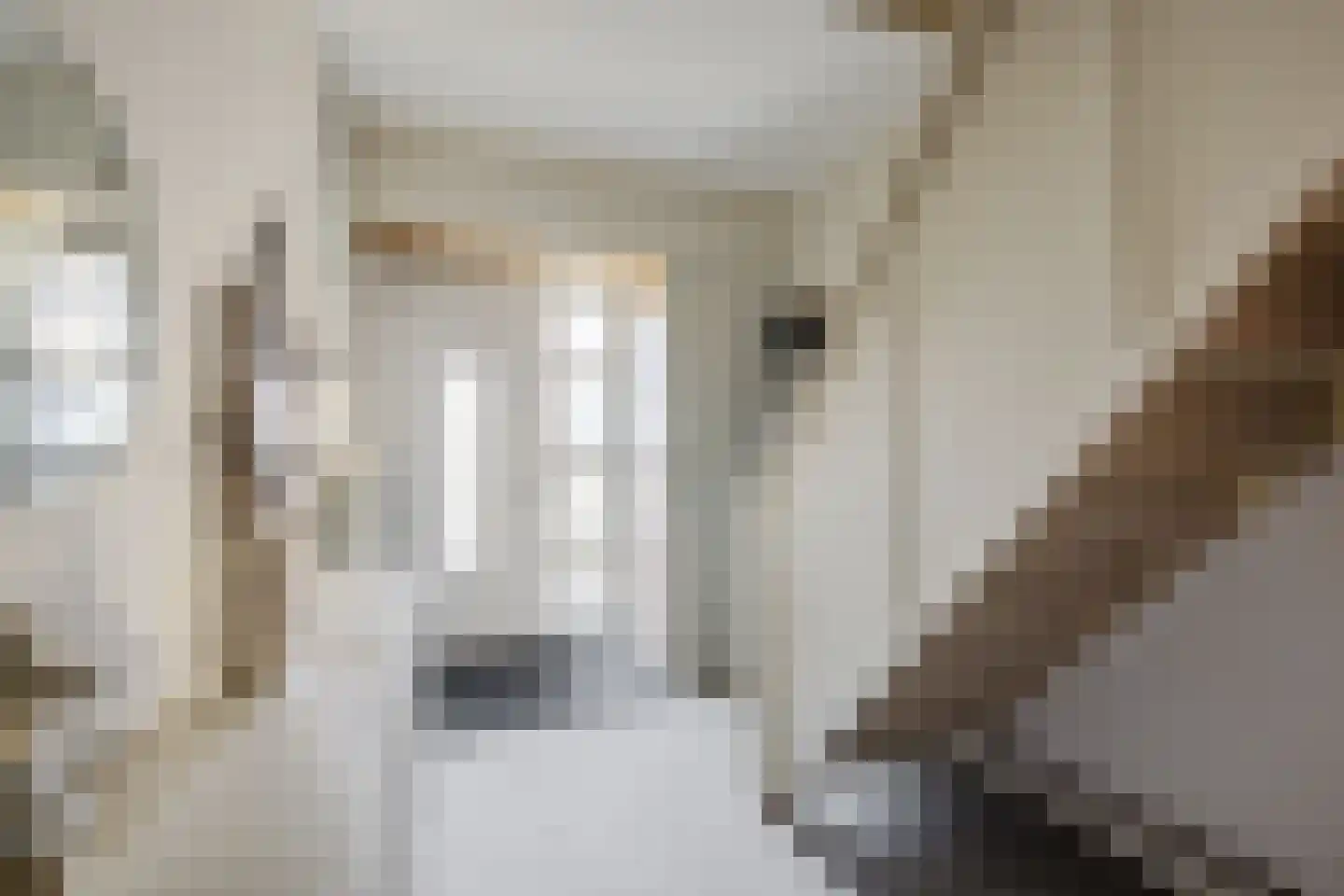 Leie 8 Assen thumbnail 5