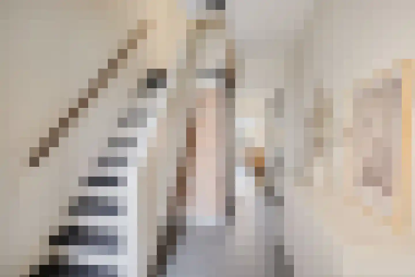 Leie 8 Assen thumbnail 7