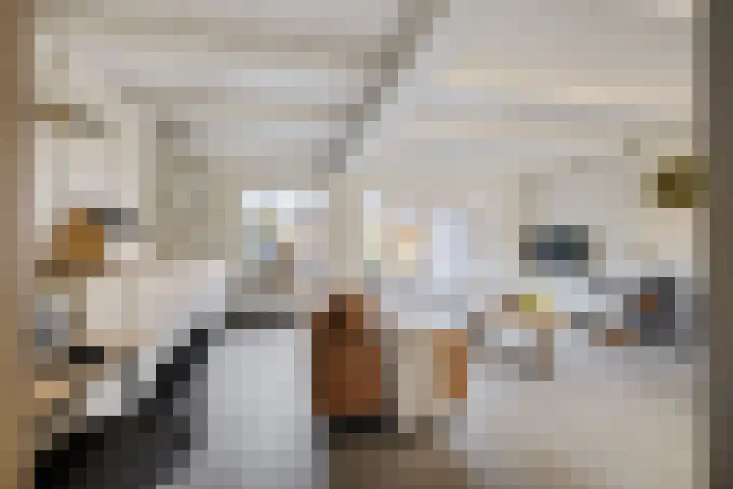 Leie 8 Assen thumbnail 8