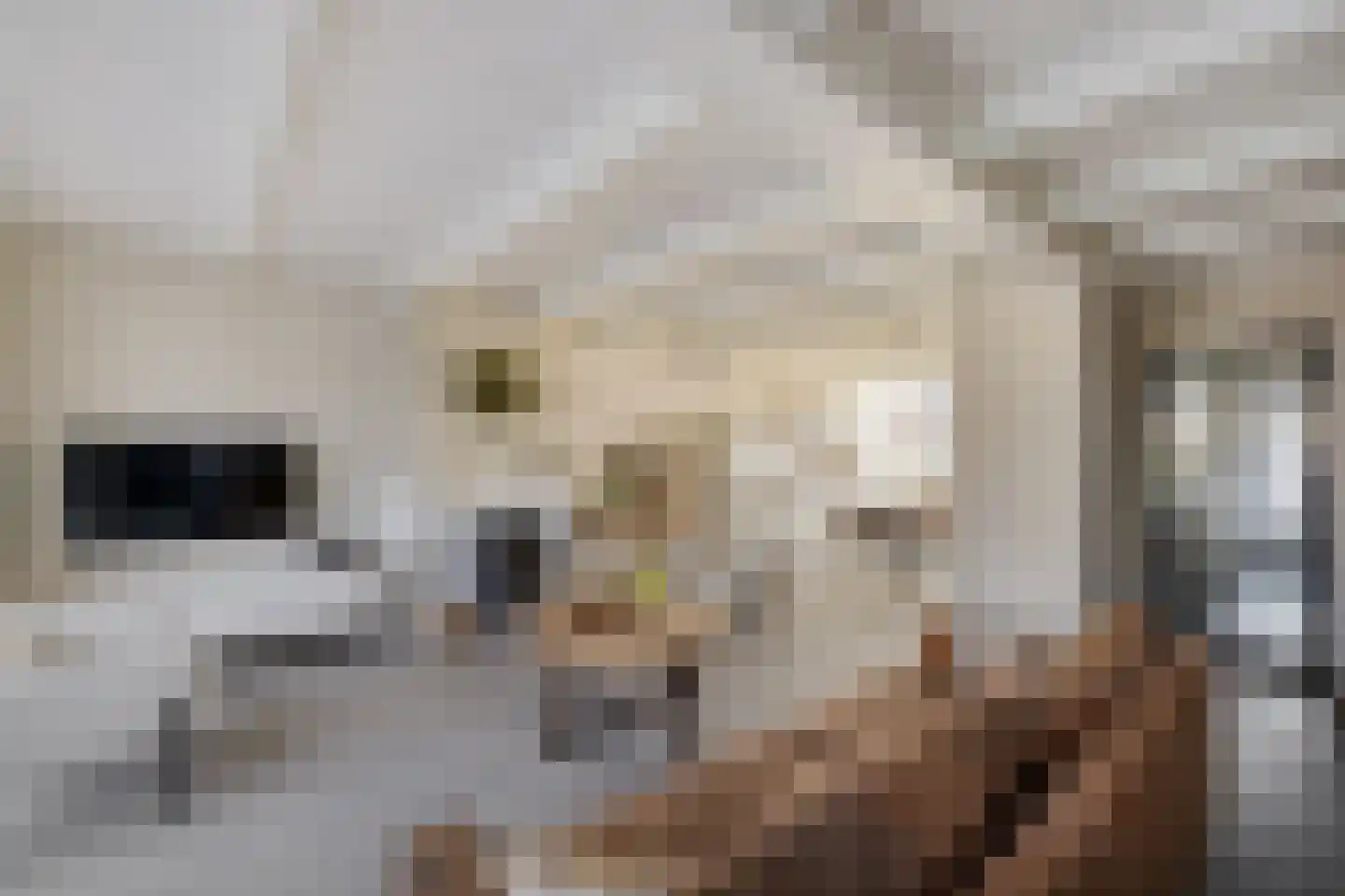 Leie 8 Assen thumbnail 9