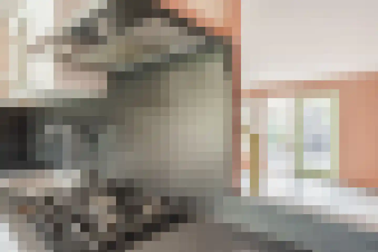 Leiendekkerstraat 15 Zwolle thumbnail 20