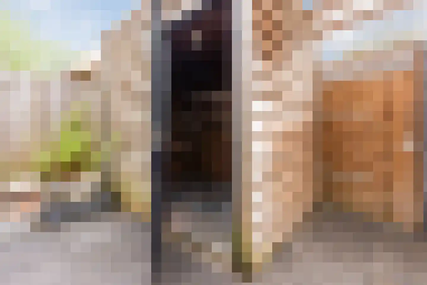 Leiendekkerstraat 15 Zwolle thumbnail 34