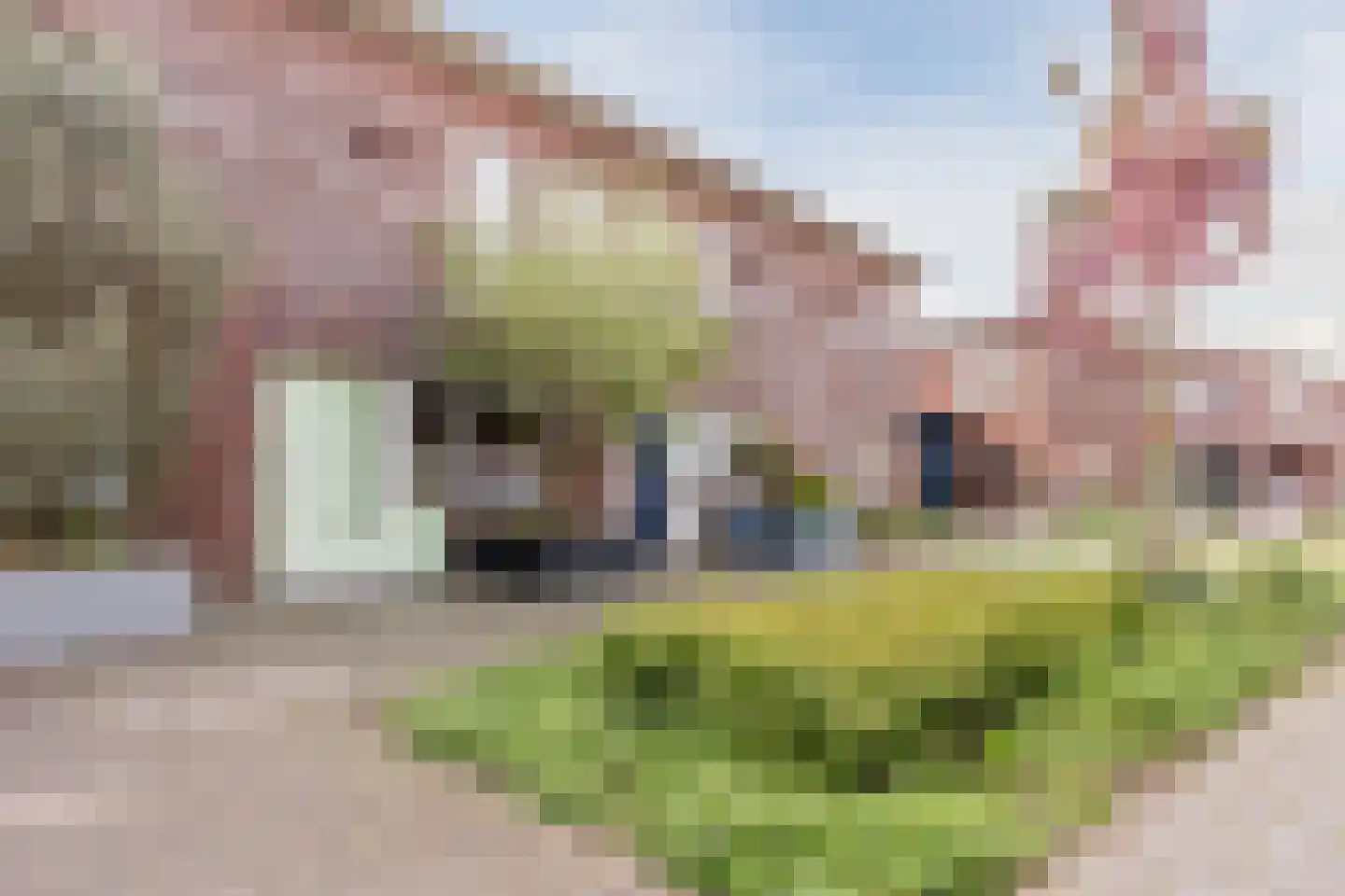 Leiendekkerstraat 15 Zwolle thumbnail 9
