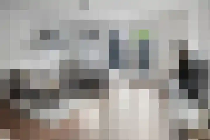 Leiendekkerstraat 7 Zwolle thumbnail 11