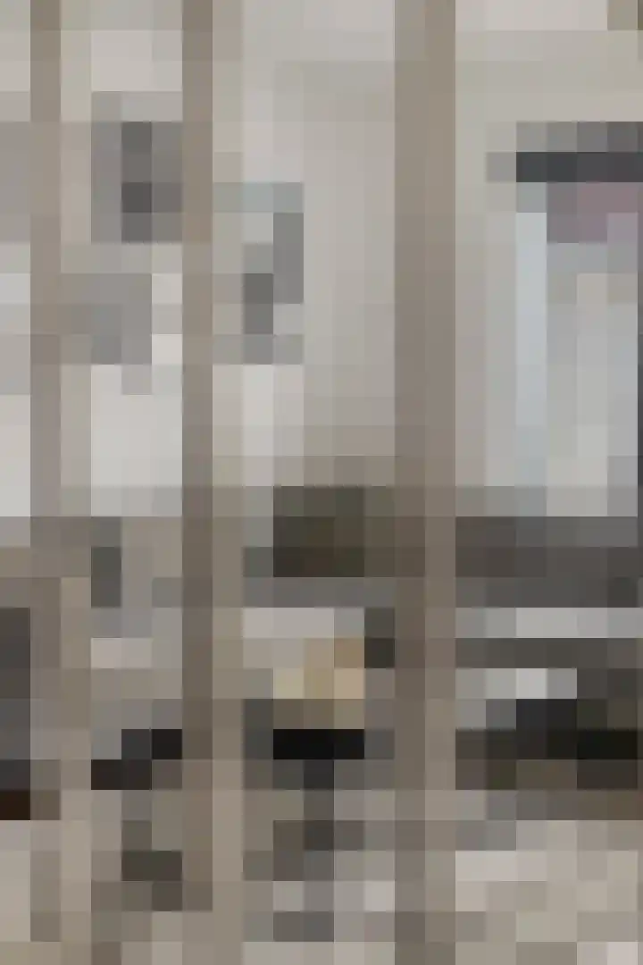 Leiendekkerstraat 7 Zwolle thumbnail 17