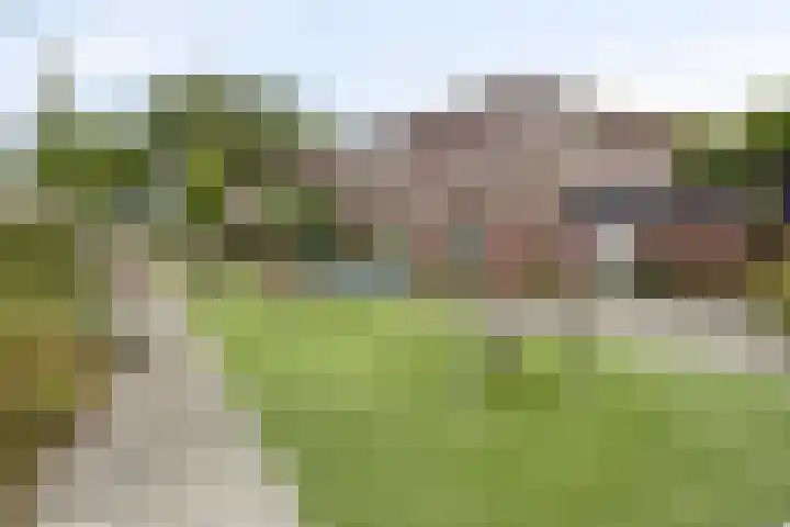 Leiendekkerstraat 7 Zwolle thumbnail 34
