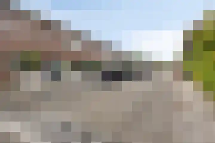 Leiendekkerstraat 7 Zwolle thumbnail 37