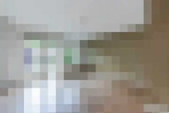 Leiendekkerstraat 75 Zwolle thumbnail 6