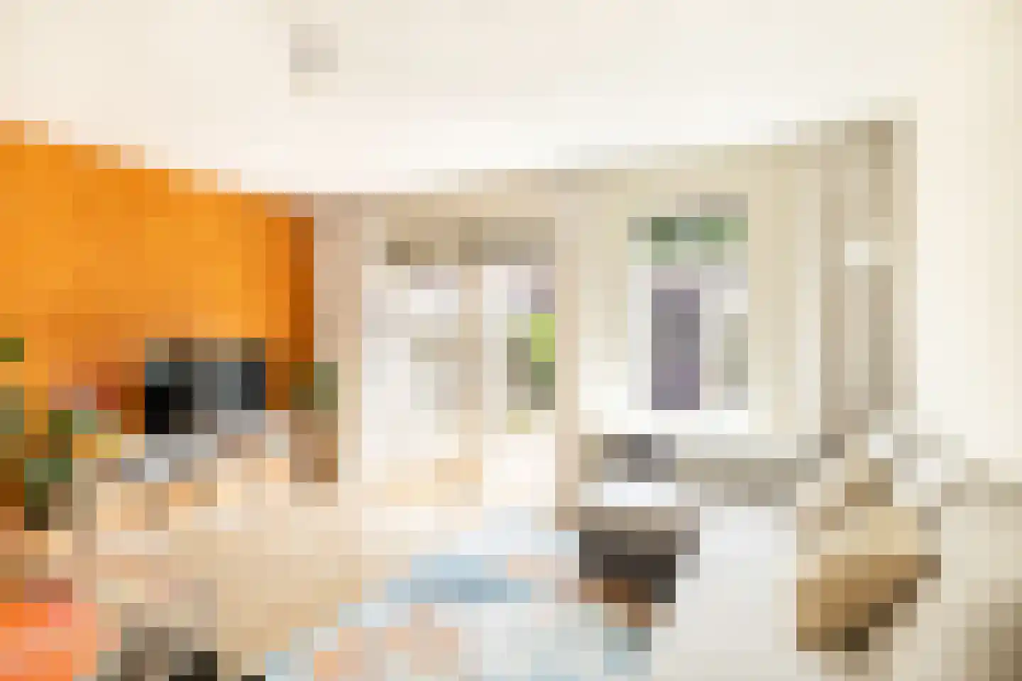 Leiendekkerstraat 75 Zwolle thumbnail 7
